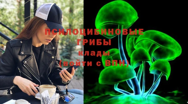тгк Абдулино