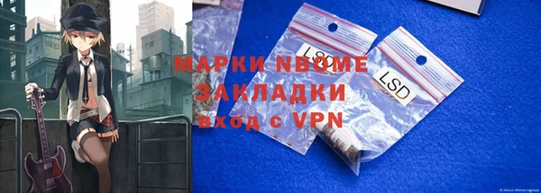 крисы Няндома