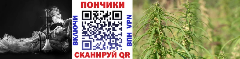 МАРИХУАНА VHQ  сколько стоит  Курчатов 